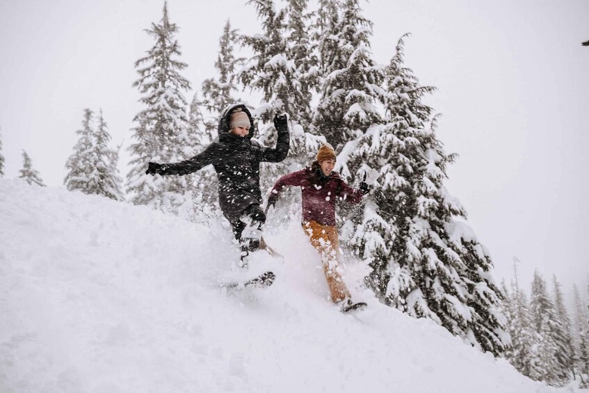 Picture 2 for Activity Bend: Half-Day Shoes, Brews, and Views Tour 2