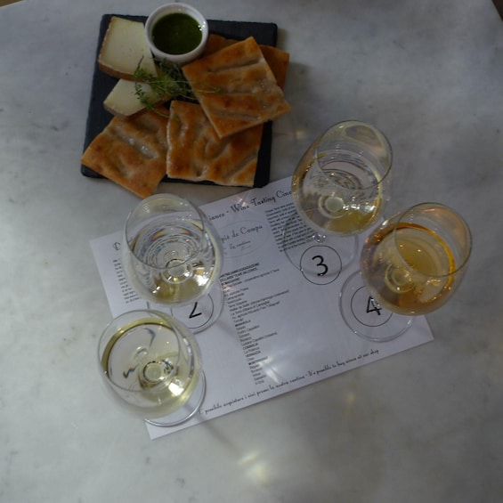 Picture 4 for Activity Cinque terre wine tour and tasting with the somelier 1