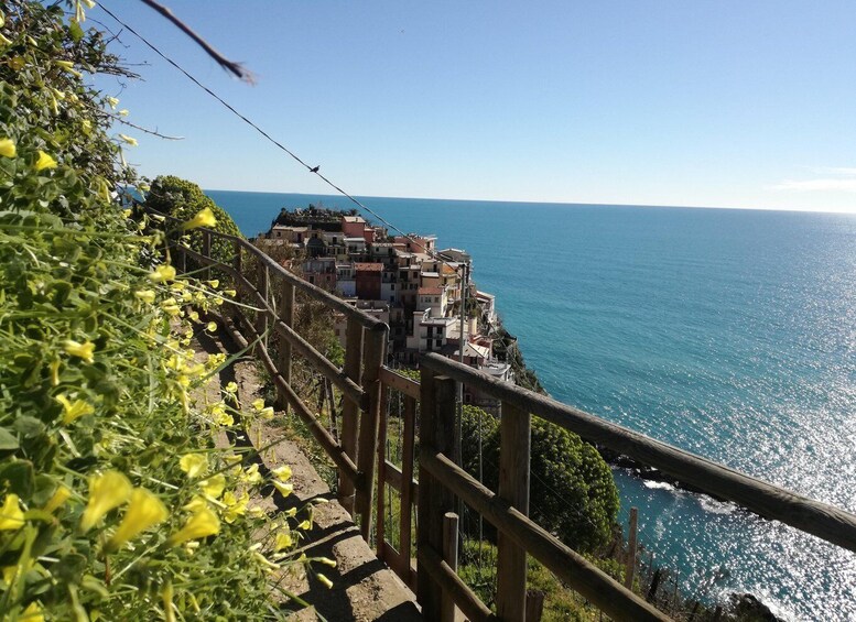 Picture 6 for Activity Cinque terre wine tour and tasting with the somelier 1