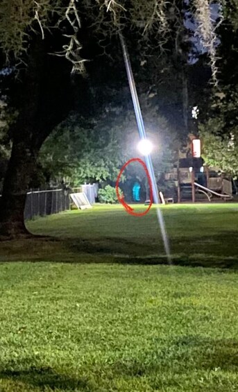 A nighttime scene with a brightly lit area circled in red, possibly a structure or object, surrounded by trees and a grassy field. 5