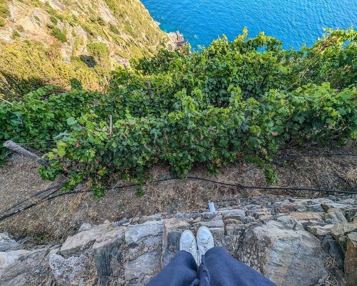 Riomaggiore: Vertical Vineyards & Historic Cellar Tasting 1