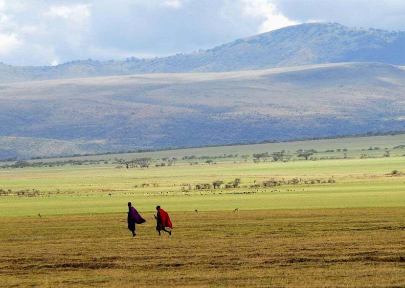 Picture 24 for Activity Authentic Maasai Cultural Experience & Walking with Warriors 5