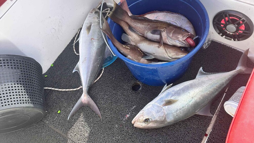 Picture 21 for Activity Agios Nikolaos: Mirabello Bay Fishing Trip 2