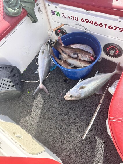 Un bote pesquero con un cubo azul que contiene varios peces, un contenedor de malla metálica y un asiento rojo. 2