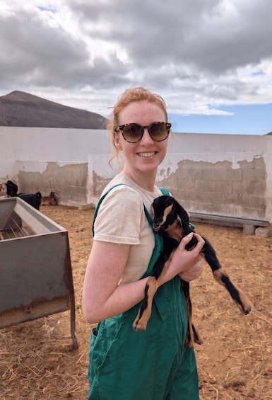Fuerteventura: Artisan Goat's Cheese Making at Local Farm 2