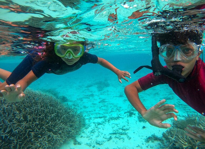 Two people snorkeling underwater with coral reefs in the background. 5