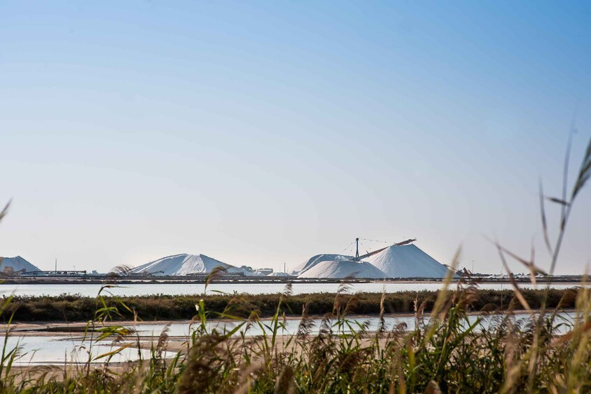 A coastal industrial area with large storage silos and a crane in the background. 2
