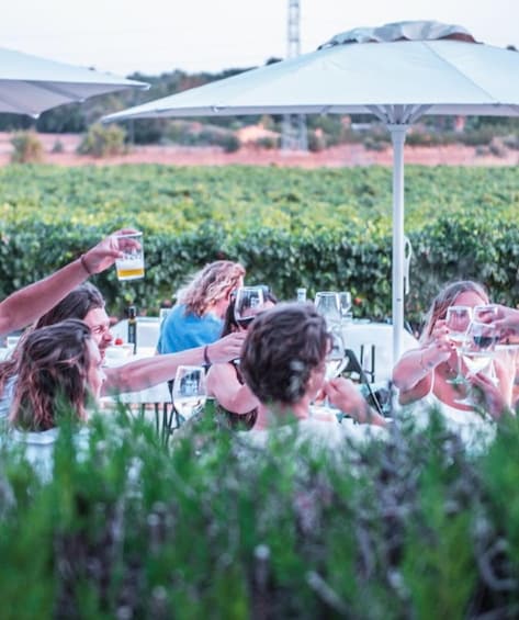 Picture 1 for Activity Authentic Family Winery Tour and Tasting in Mallorca 2