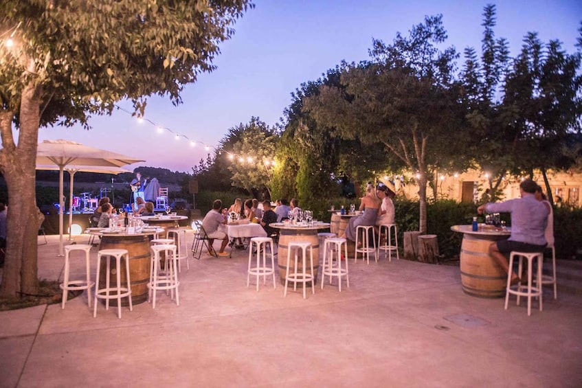 Authentic Family Winery Tour and Tasting in Mallorca 1