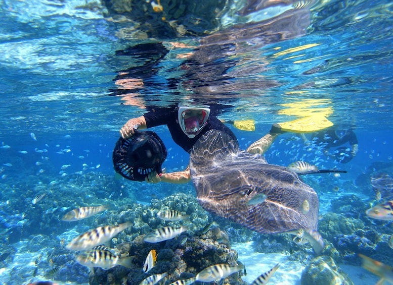 A person scuba diving with a large fish and a helmet. 4