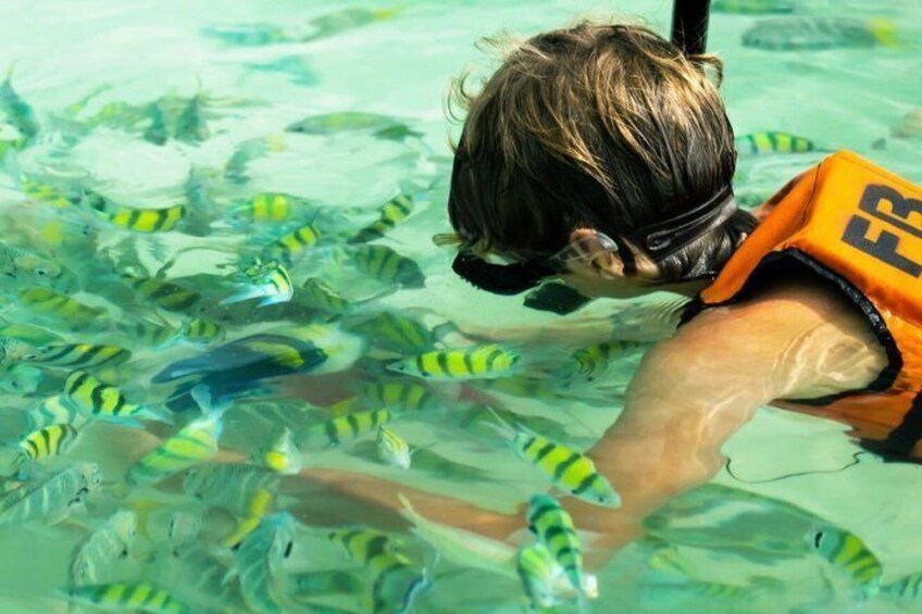 En person som snorklar i klart vatten bland tropiska fiskar. 2
