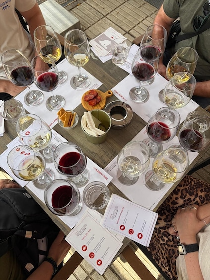 Picture 1 for Activity Madrid: Spanish Wine Tasting Overlooking Parque del Oeste 2