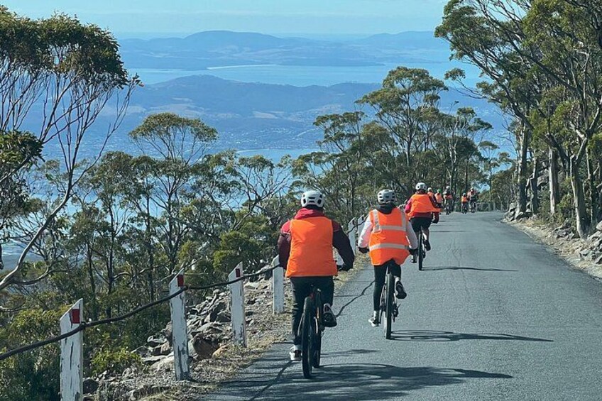 Easy Bike Tour - Mt Wellington Summit Descent & Rainforest Ride 2