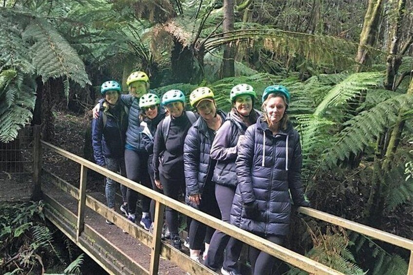 Easy Bike Tour - Mt Wellington Summit Descent & Rainforest Ride 4