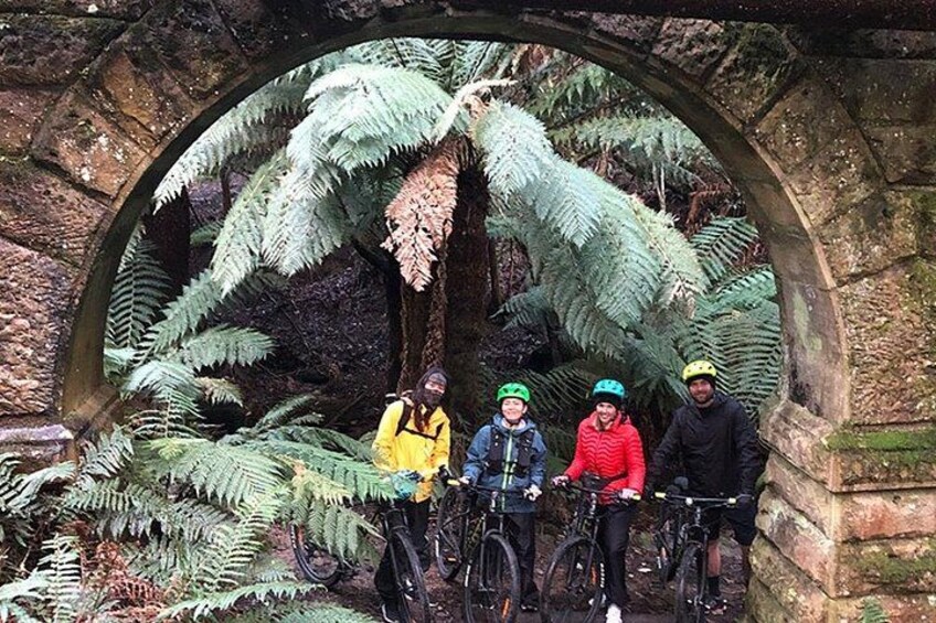 Easy Bike Tour - Mt Wellington Summit Descent & Rainforest Ride 5