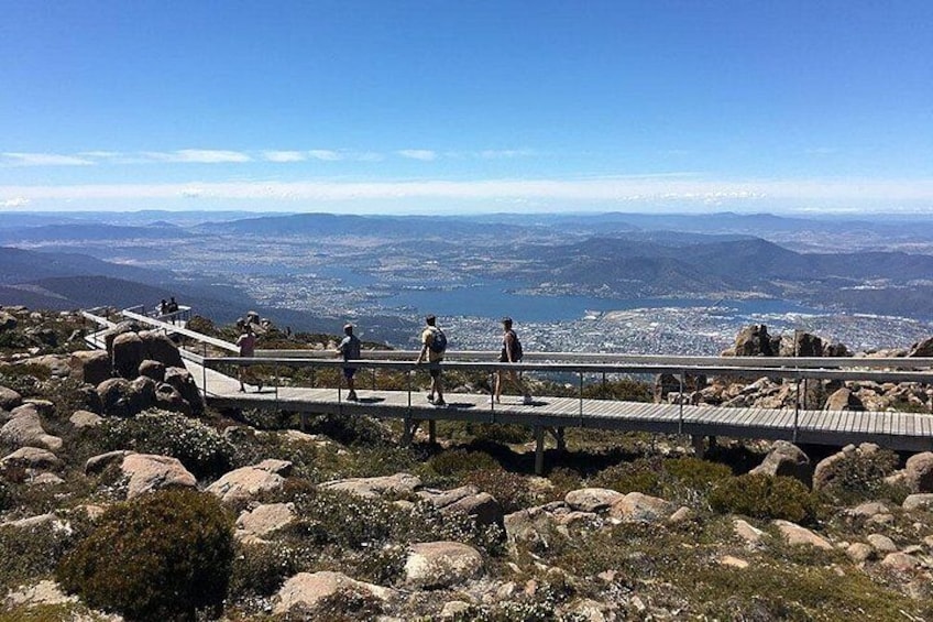 Easy Bike Tour - Mt Wellington Summit Descent & Rainforest Ride 3