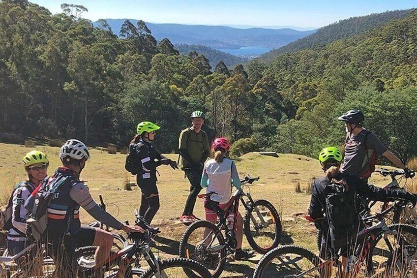 Easy Bike Tour - Mt Wellington Summit Descent & Rainforest Ride 2