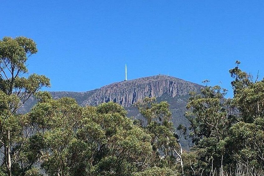 Easy Bike Tour - Mt Wellington Summit Descent & Rainforest Ride 3