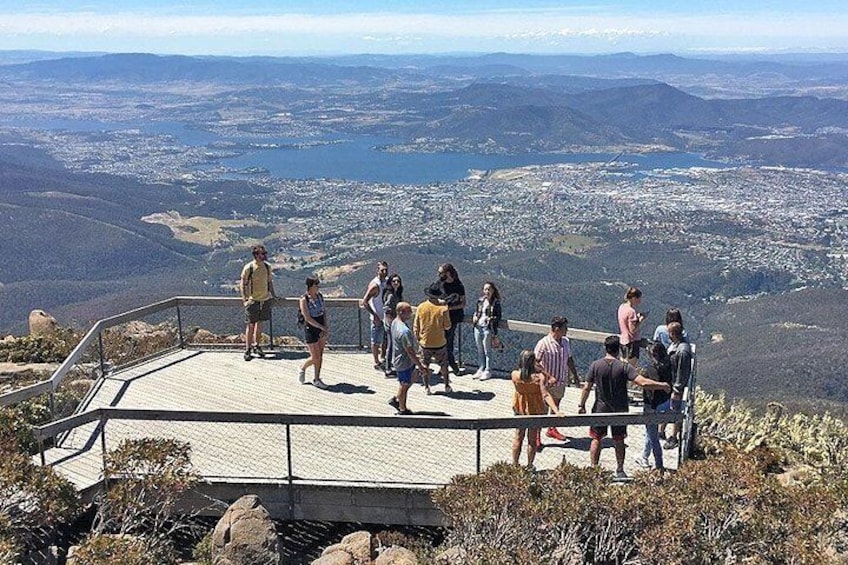 Easy Bike Tour - Mt Wellington Summit Descent & Rainforest Ride 3