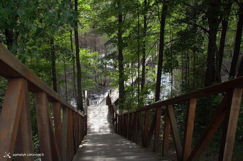 Un puente de madera en un bosque con árboles frondosos y un río al fondo. 4