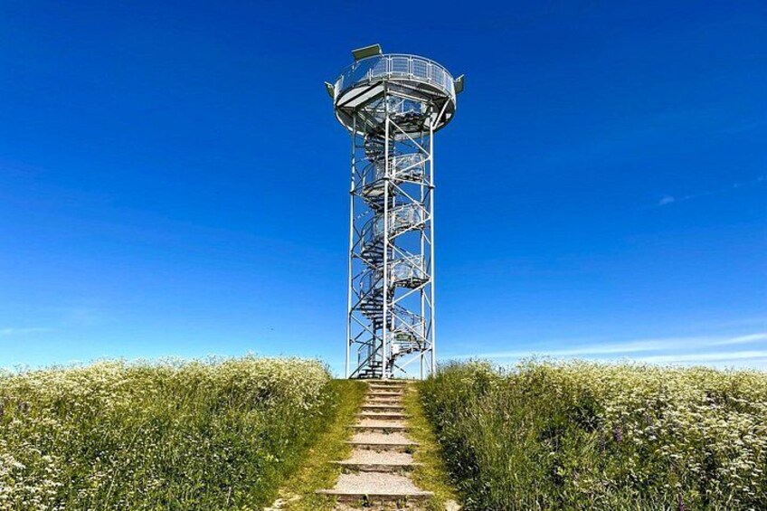 Una torre metálica con una escalera en espiral, rodeada por un campo de flores blancas bajo un cielo azul despejado. 3