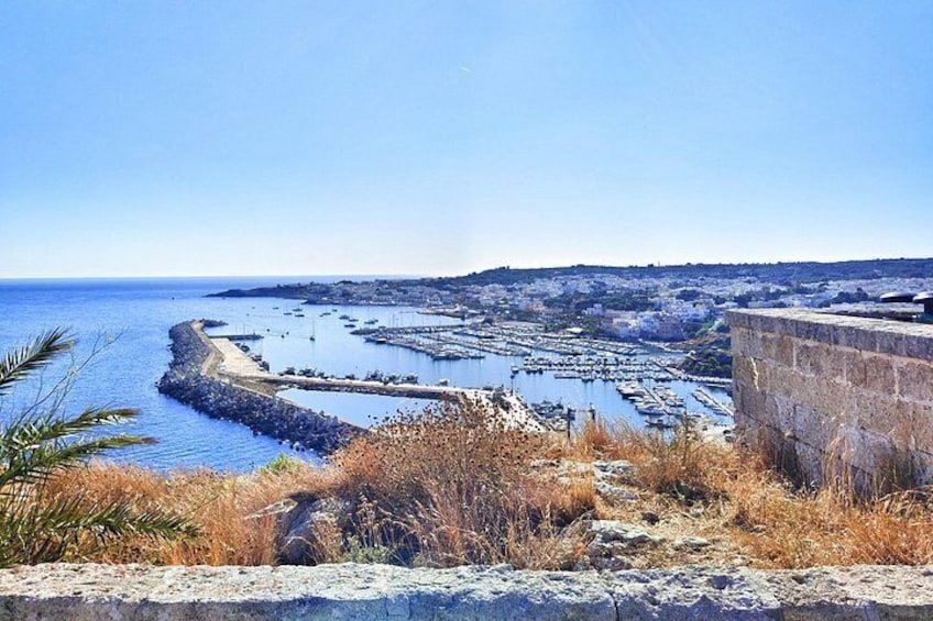 Un paysage côtier avec un mur de pierres, de l’herbe sèche et un ciel bleu dégagé. 4