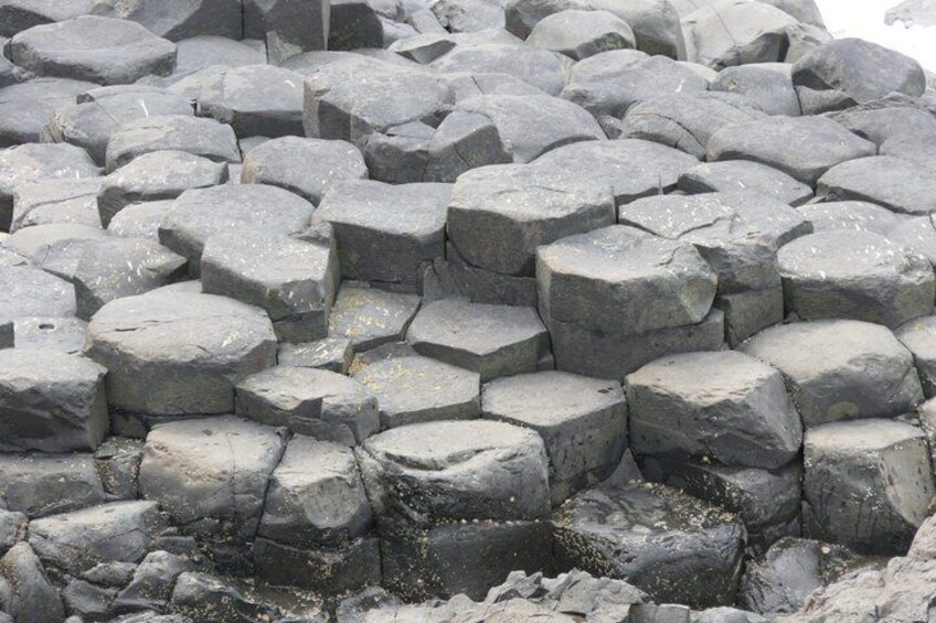 Walk in the footsteps of Giants on a Giants Causeway scenic tour 4