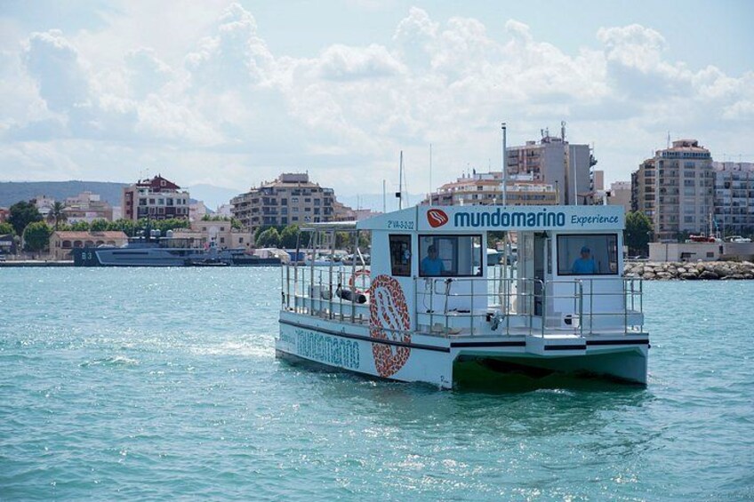 A Day at Sea by Catamaran from Calpe or Altea with Paella 4