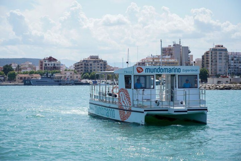 A Day at Sea by Catamaran from Calpe or Altea with Paella 3