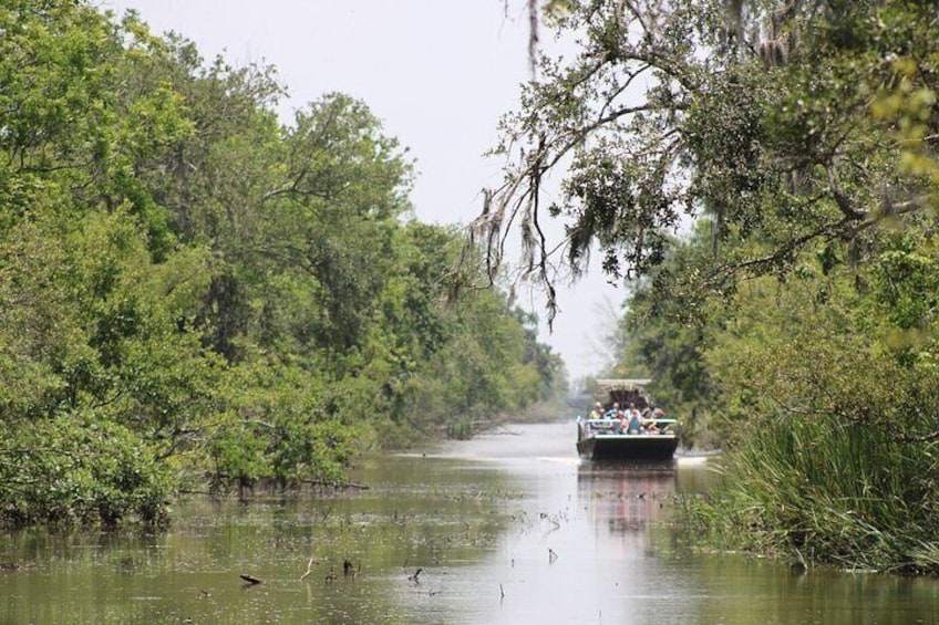 Airboat Swamp Tour 2