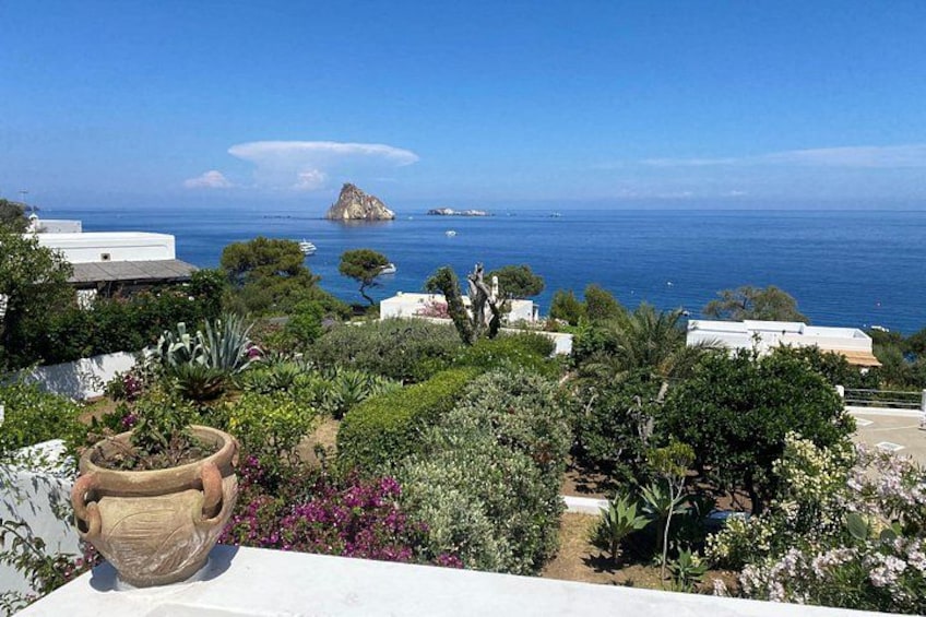 A coastal landscape with a view of the sea, a rocky island, and a garden with various plants. 5