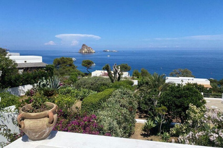 A coastal landscape with a view of the sea, a rocky island, and a garden with various plants. 4