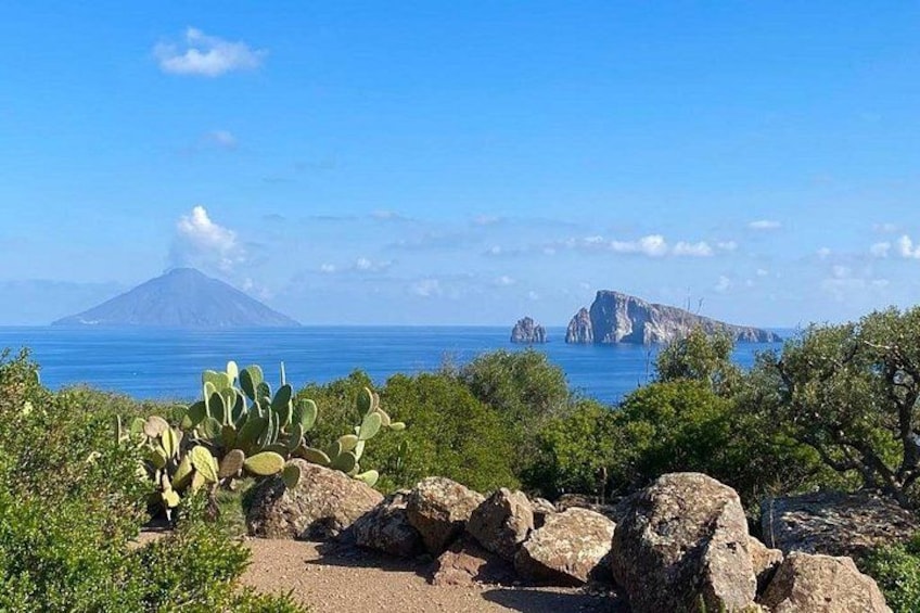 A coastal landscape with cacti, rocks, and a distant view of a volcano and islands. 3