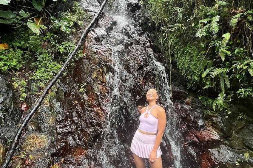 El Yunque Rainforest Waterslides, Waterfalls and Rope Swing 2