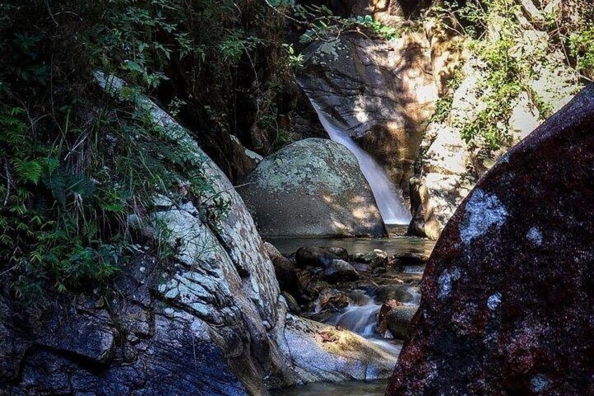 Ein felsiger Bach mit Wasserfall, umgeben von dichtem Grün. 3
