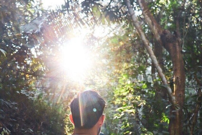 Eine Person, vom Rücken her betrachtet, blickt durch einen Wald, in dem Sonnenlicht zwischen den Bäumen hindurchfällt. 5