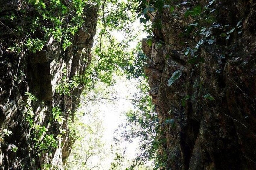 Eine schmale Schlucht, gesäumt von dichter Vegetation. 4