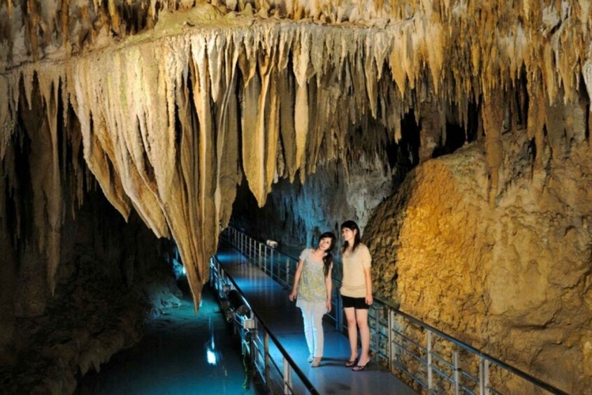 Okinawa: South Island Tour to Shurijo Castle & Okinawa World 5