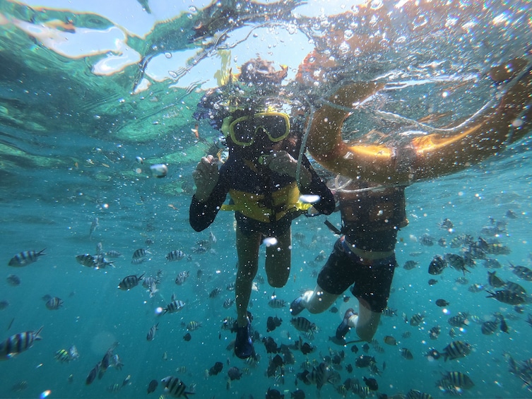 Bali Tropical Snorkeling and Mangrove Cruise