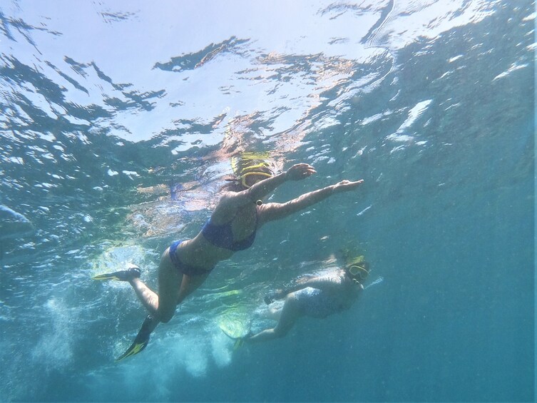 Bali Tropical Snorkeling and Mangrove Cruise