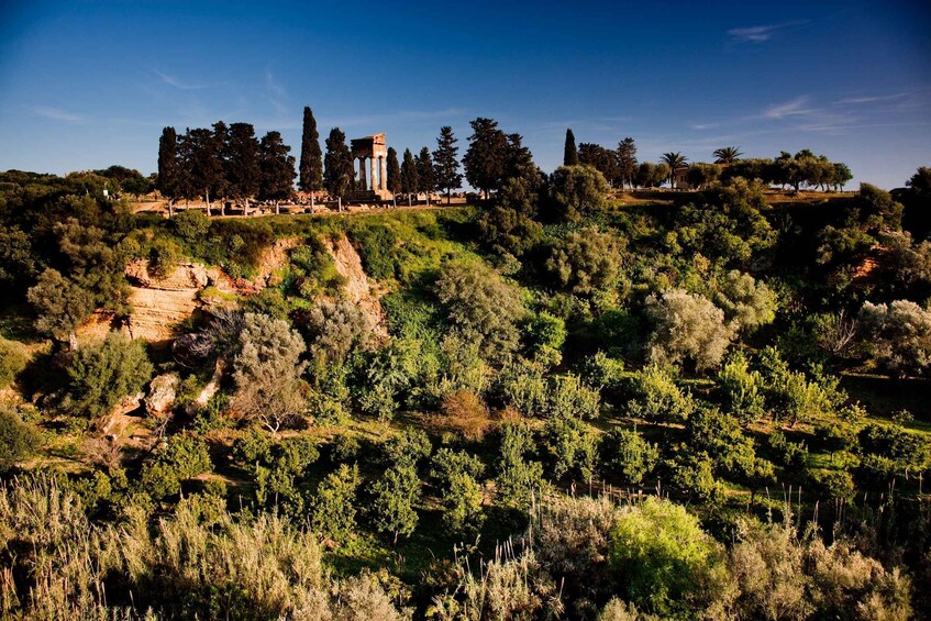 A historical site with ruins and a temple on a hill, surrounded by dense vegetation. 1