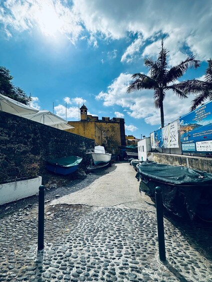 Picture 5 for Activity Funchal Monte Palace Tropical Gardens Old Town Tuk Tuk Tour 3