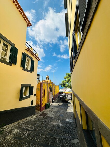 Picture 6 for Activity Funchal Monte Palace Tropical Gardens Old Town Tuk Tuk Tour 2