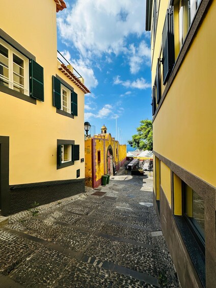 Picture 4 for Activity Funchal Monte Palace Tropical Gardens Old Town Tuk Tuk Tour 4
