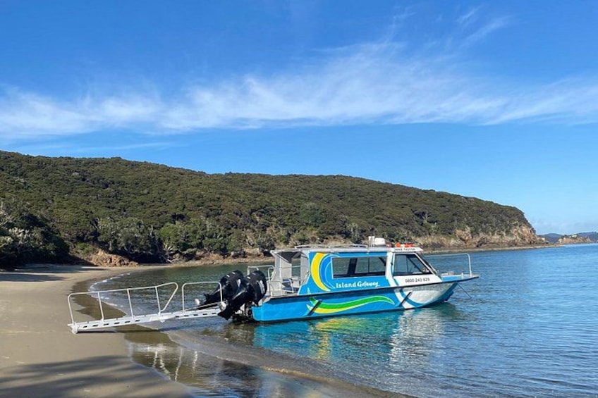 Bay of Islands Cruise & Island Tour - Snorkel, Hike,Swim,Wildlife 3