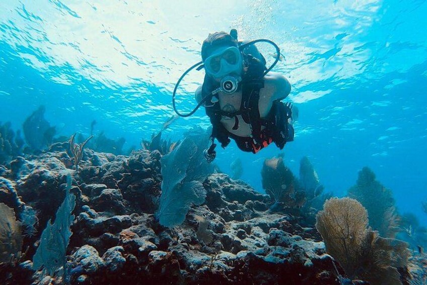 Snorkel Tour - Visit 2 Shallow Reefs John Pennekamp State Park 4