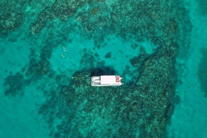 Snorkel Tour - Visit 2 Shallow Reefs John Pennekamp State Park 4