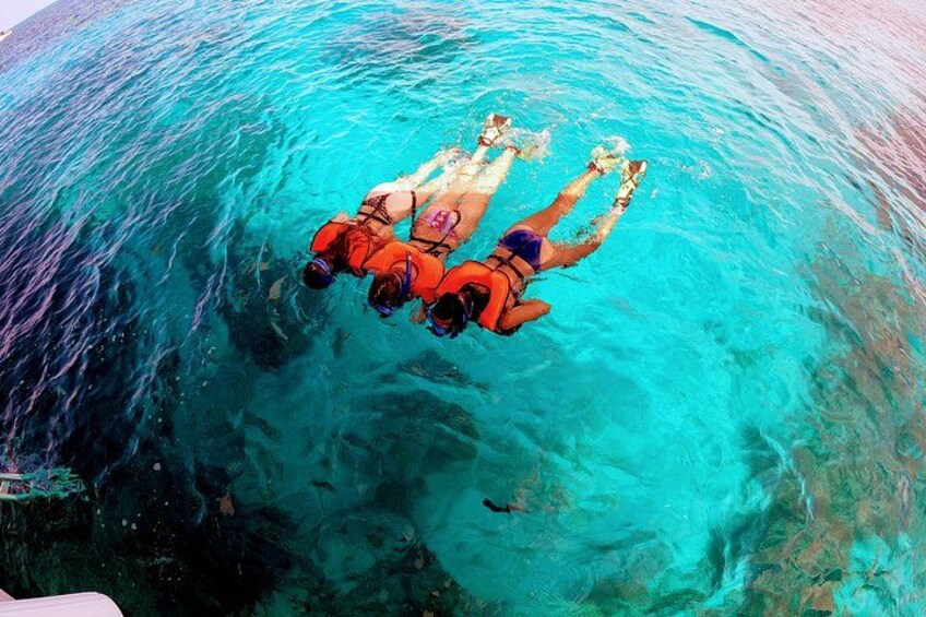 Snorkel Tour - Visit 2 Shallow Reefs John Pennekamp State Park 5