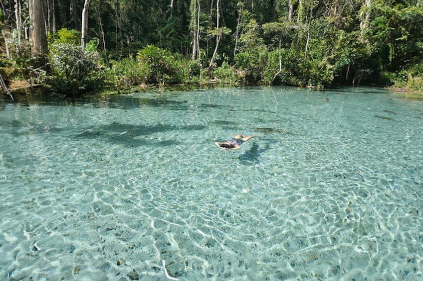 Une personne nage dans une eau claire et peu profonde, entourée d’une forêt dense. 1