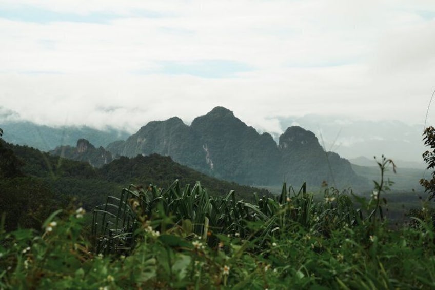 From Khao Lak : Cheow Lan Lake & Nam Rad Emerald Pool 4